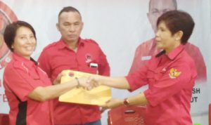 PDIP HALUT1
