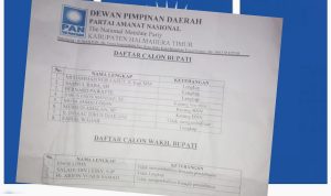 pan1