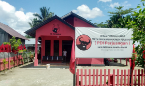 DPC PDI-P