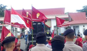 Demo IMM1