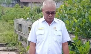 BERNARD PAWATE