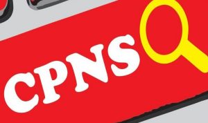 CPNS