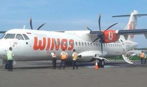 WINGS1