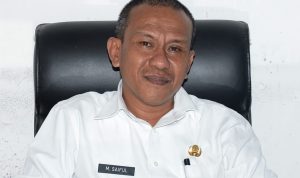 saiful