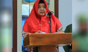 hj Sulama