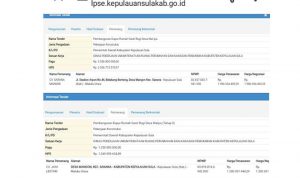 data tender