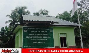 DD Pohea