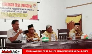 DESA POHEA