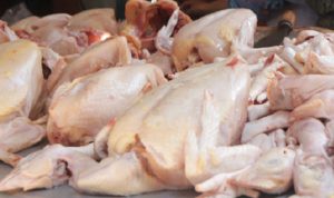 ayam