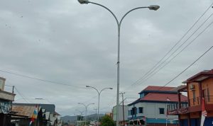 PJU1