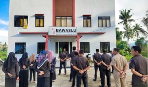 bws halsel