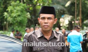 kamil muis