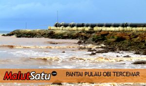 PULAU OBI