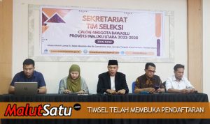 TIMSEL BAWASLU
