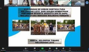 kmp