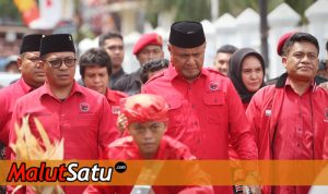 pdi perjuangan