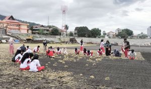 SMA