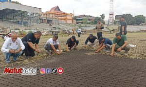 Tanam Rumput