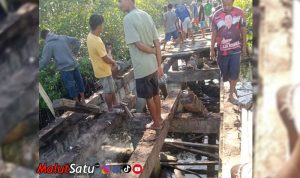 jembatan sula copy